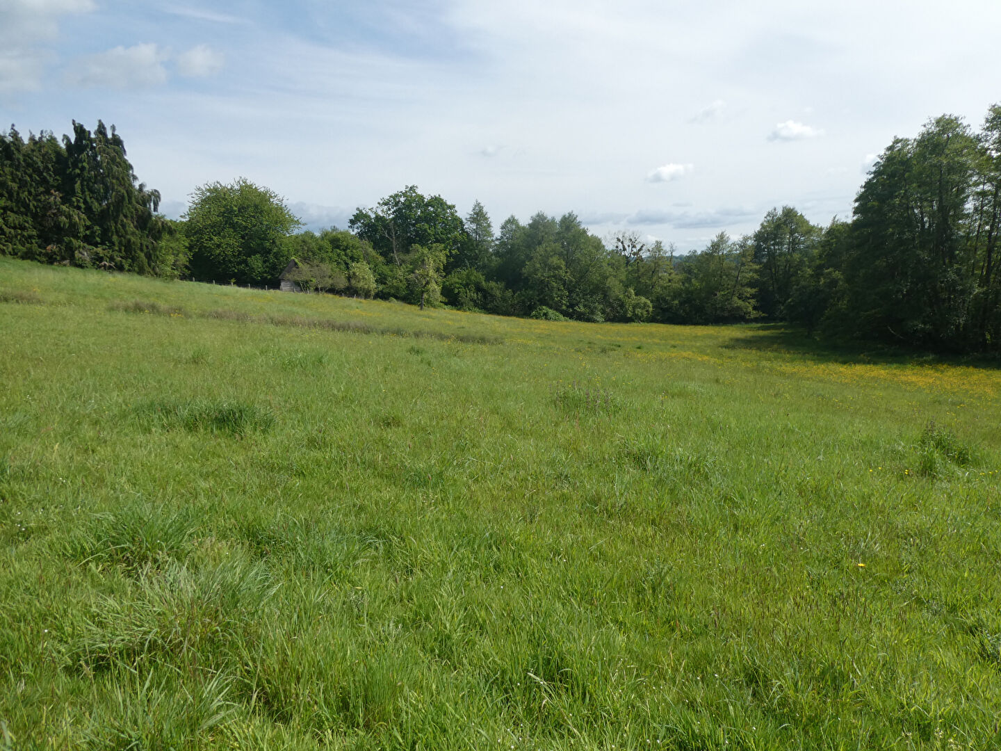 Immobilier - PONT L EVEQUE