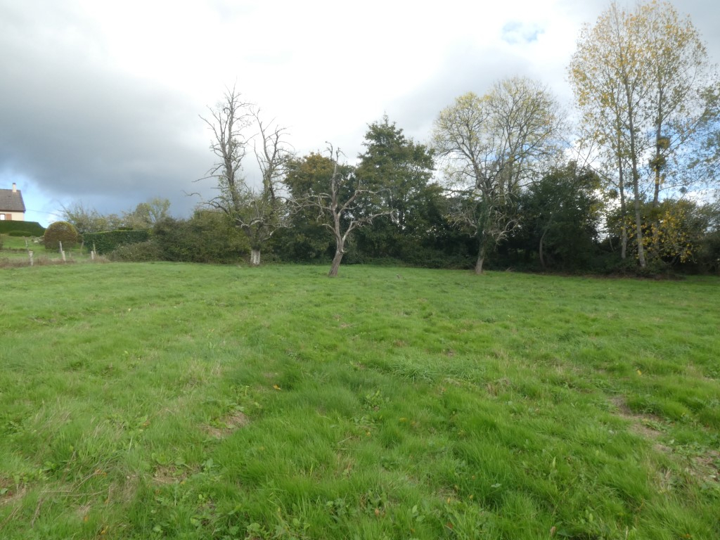 Terrain - PONT L EVEQUE