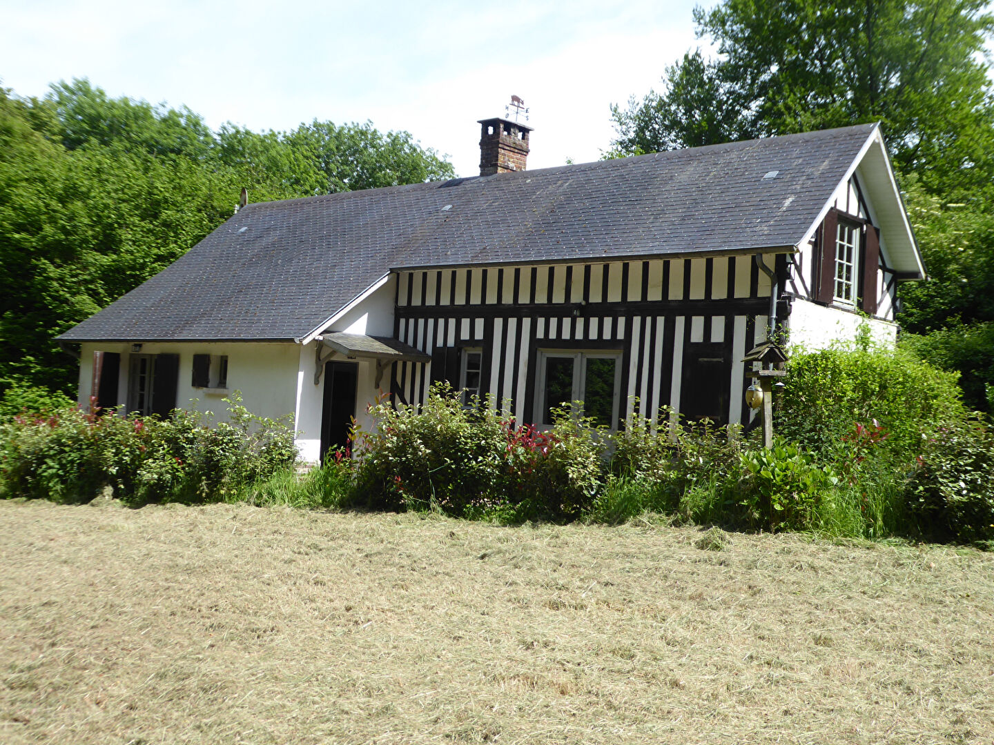 Immobilier - BEAUMONT EN AUGE