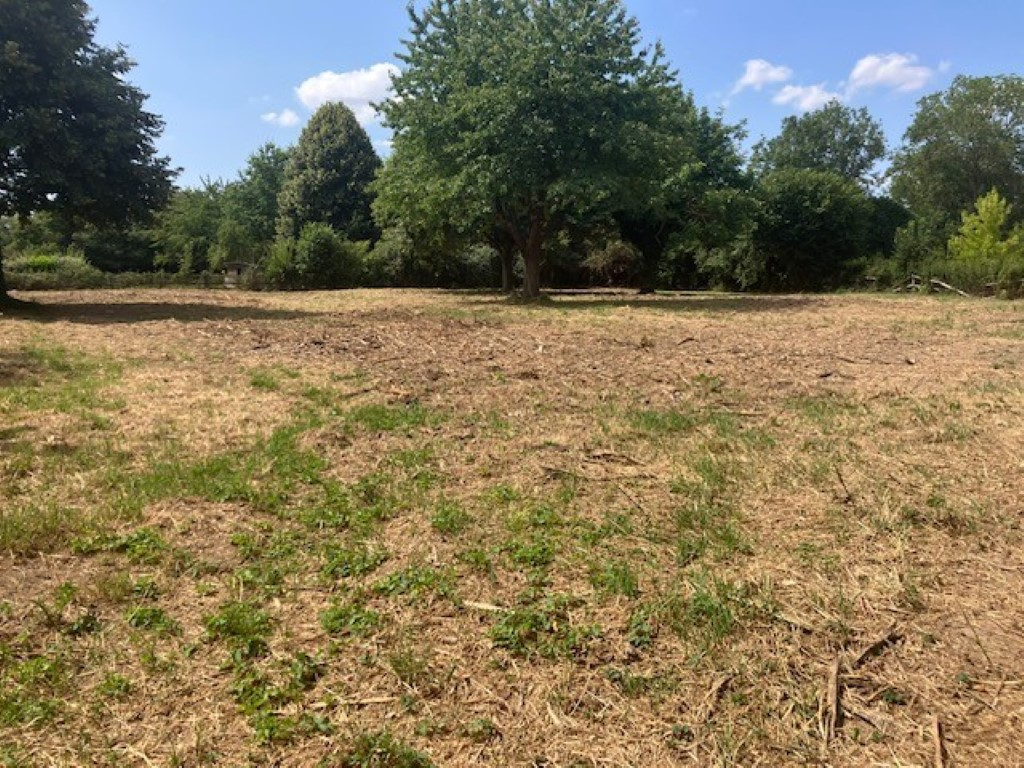 Immobilier - PONT L EVEQUE